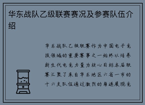 华东战队乙级联赛赛况及参赛队伍介绍